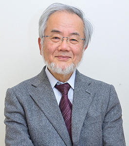 yoshinoriohsumi