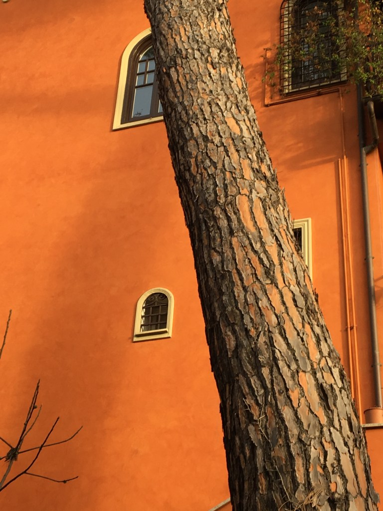 Foto di Pierò Salabè