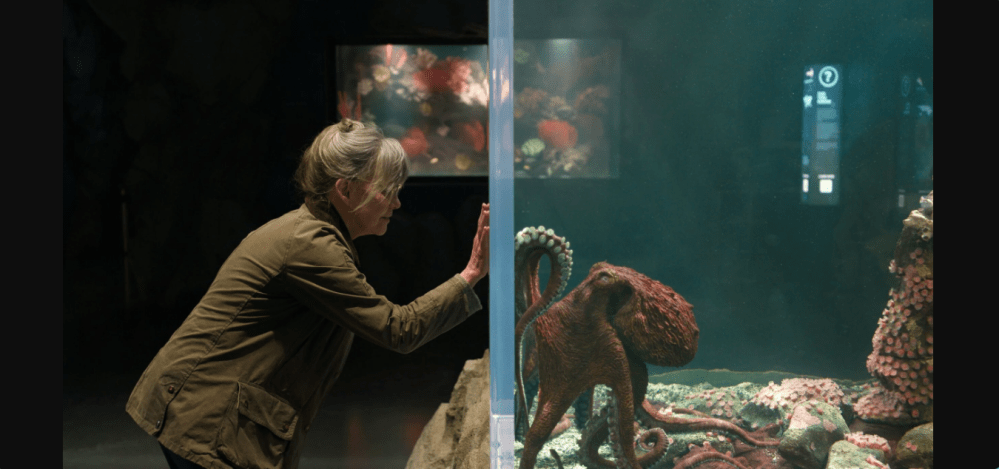 Creature luminose: il dolce “comfort movie” di Netflix che scalda il cuore