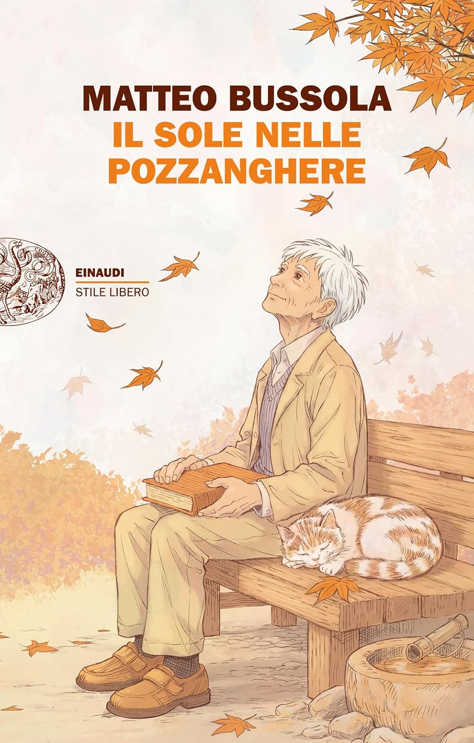 La voce delle cose e l’arte di riparare l’anima: “Il sole nelle pozzanghere” di Matteo Bussola