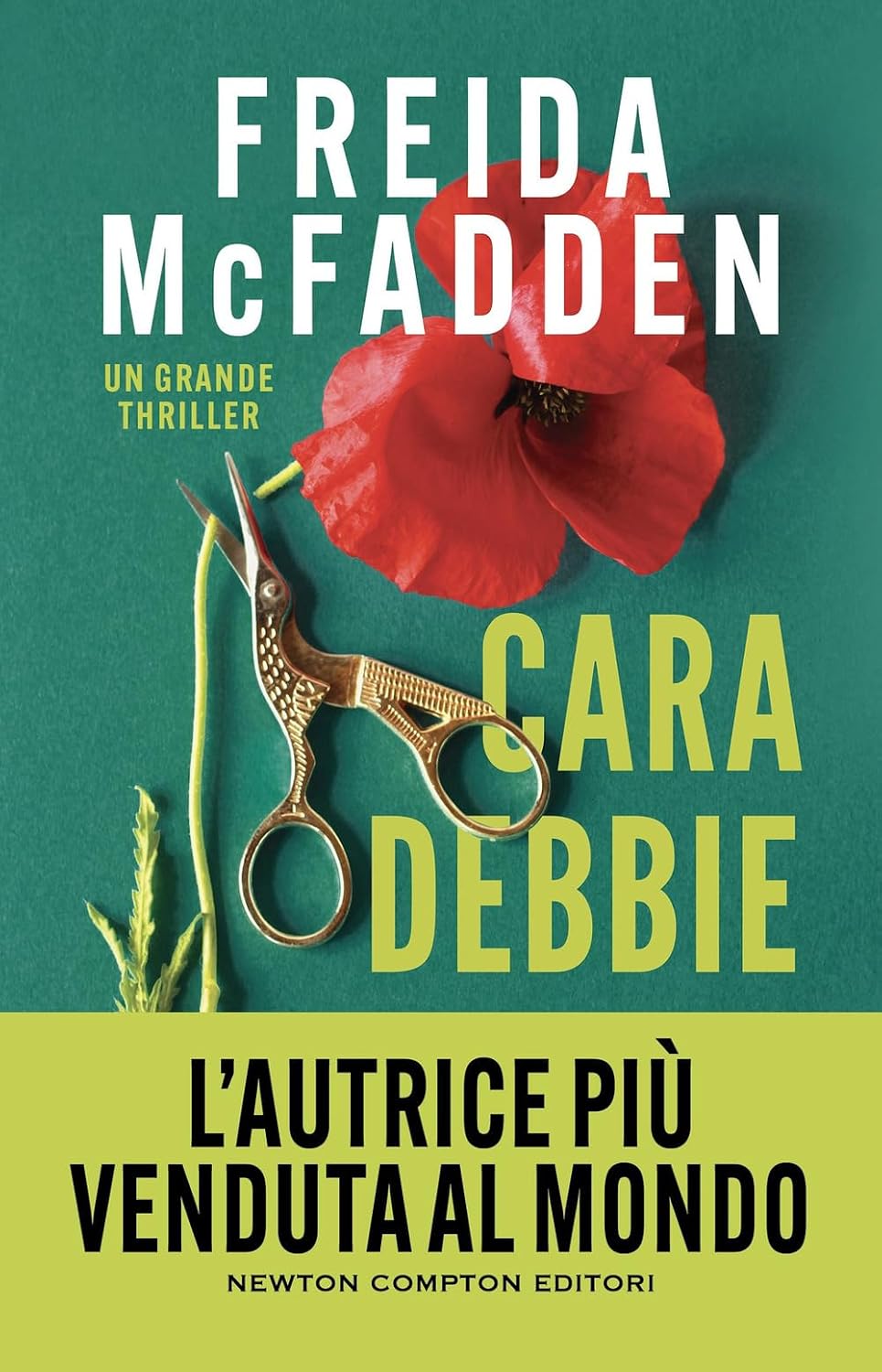 Cara Debbie di Freida McFadden: quando la regina del thriller ci regala un’antieroina indimenticabile